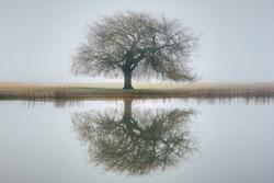 Endometriosi 2: il valore predittivo dei cicli abbondanti